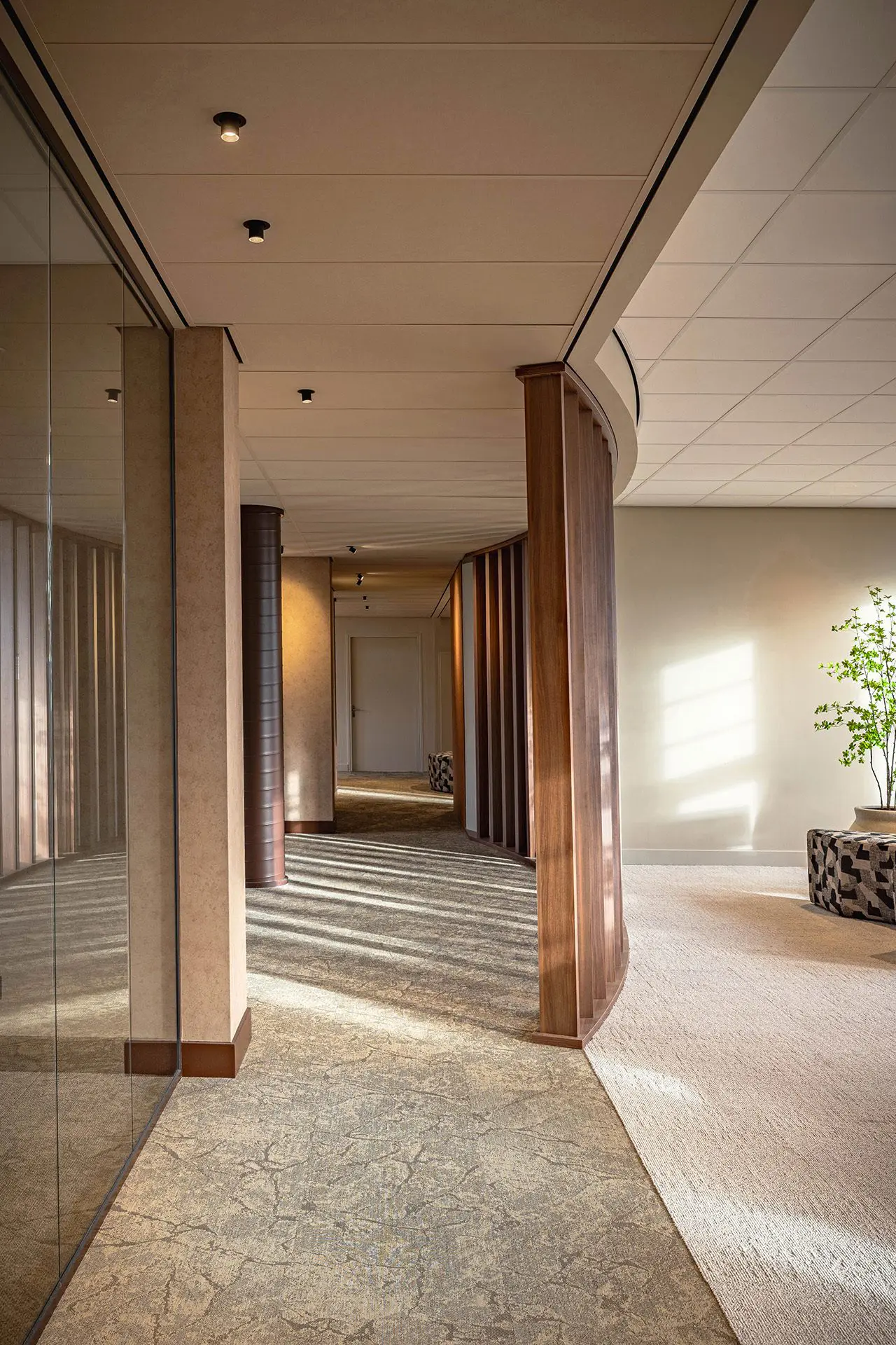 Modern office hallway with natural light